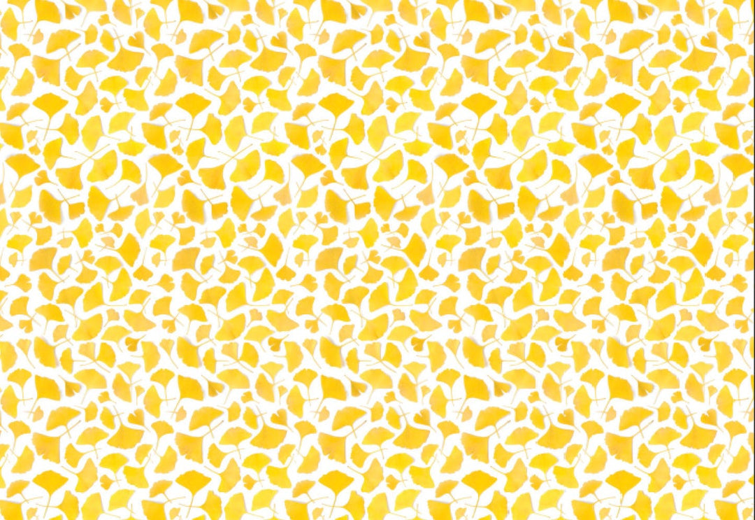Yellow Ginkgo Leaves | Gift Wrap