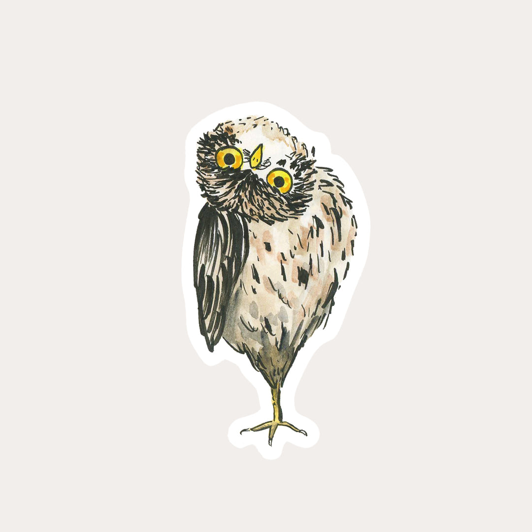Goofy Owl | Vinyl Sticker