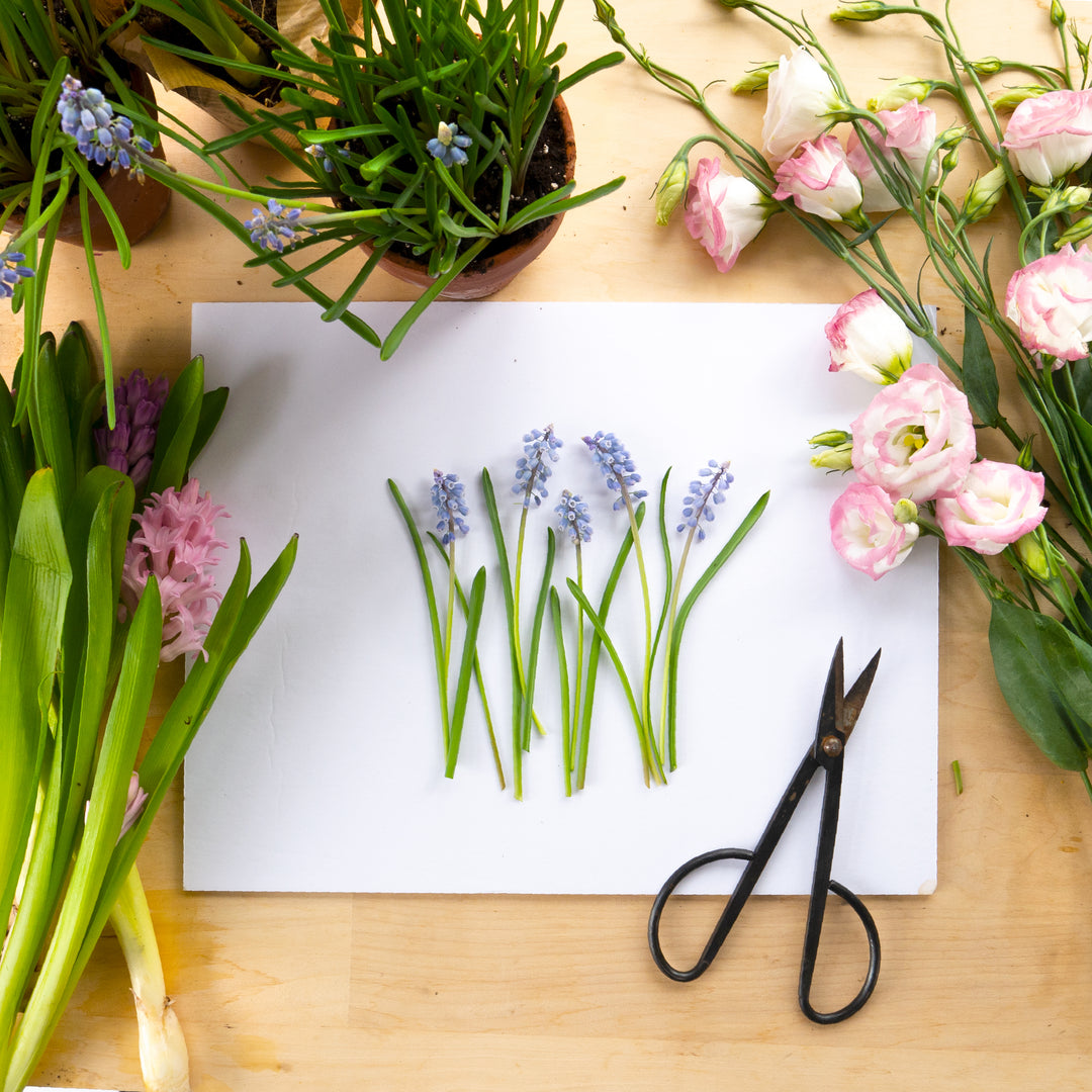 The Art of the Botanical Flat Lay | Spring Flowers