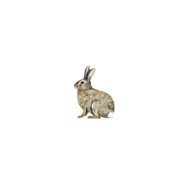 Bunny Rabbit | Temporary Tattoo Pair