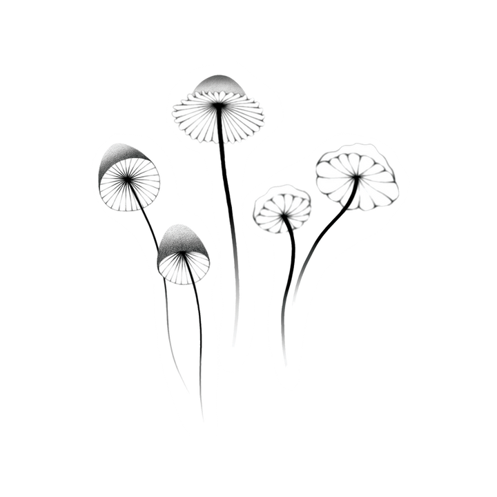 Mushrooms | Temporary Tattoo Pair