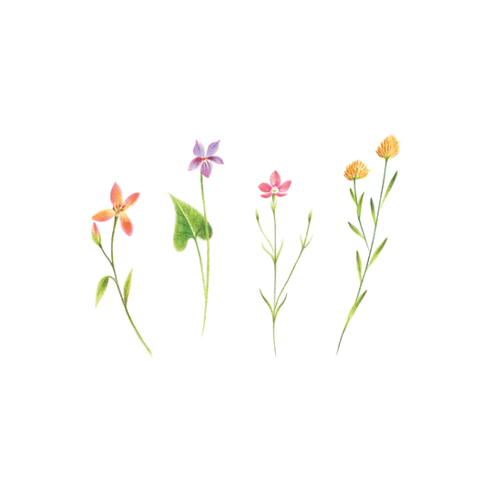 Petite Florals | Temporary Tattoo Pair